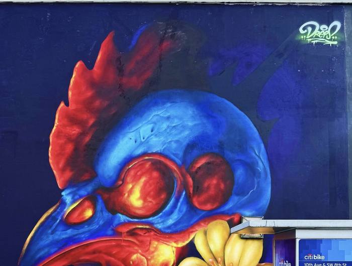 Rooster and skull mural artwork by Miami mural artist DREPS
